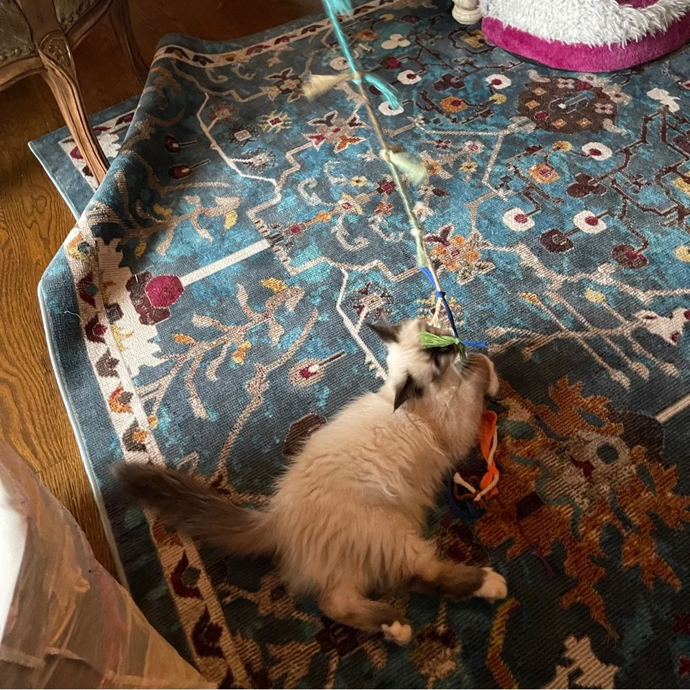 Handmade Sustainable Cat Toy